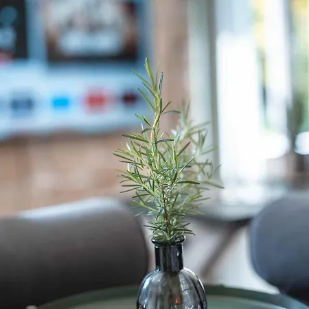 Tatil Evi Maison Du Tarn - Piscine Chauffee - Nature Gaillac