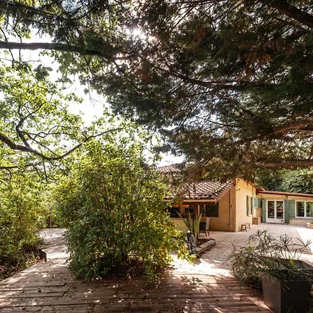 Maison Du Tarn - Piscine Chauffee - Nature * Gaillac